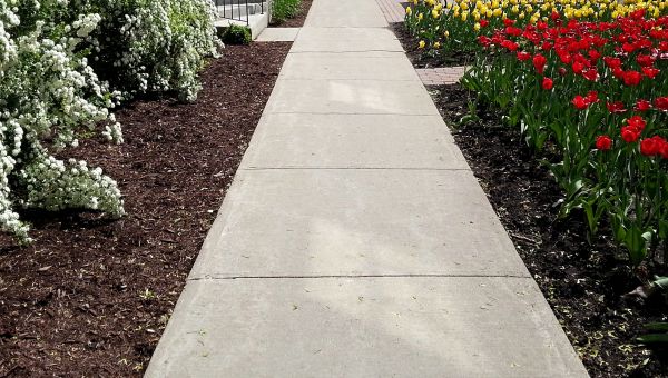 Cement Sidewalk Installation in Walnut Creek