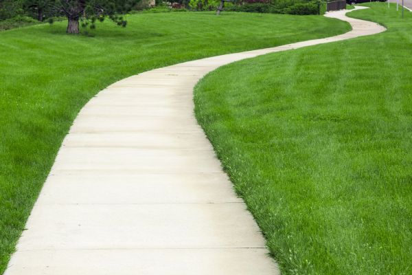 Cost of Sidewalk Paving in Walnut Creek