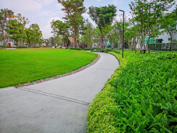 Cement Walkway Service in Walnut Creek